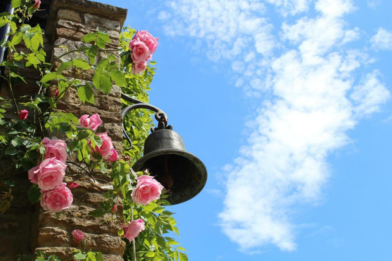 Hewletts Mill Konuk evi Castle Cary Dış mekan fotoğraf